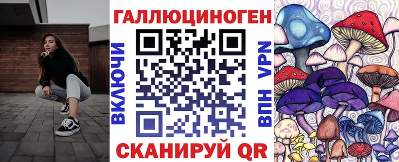 Псилоцибиновые грибы прущие грибы  Александровск-Сахалинский 